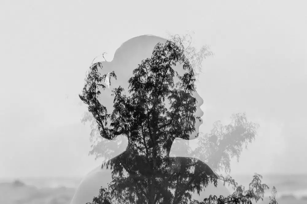 Vypínače A Zásuvky