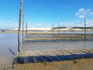 Aku Ruční Pila