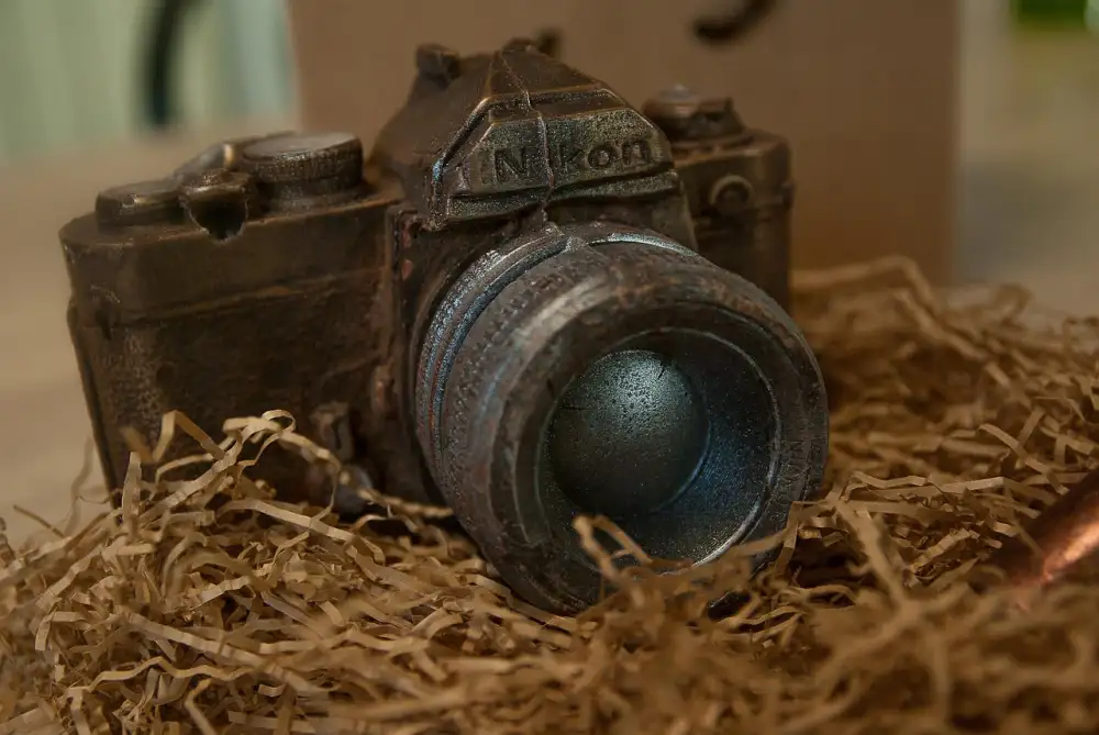 Nikon D5600