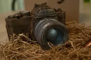 Nikon D5600