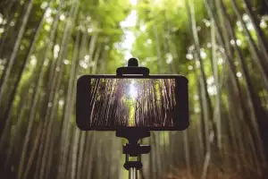 Selfie Tyč